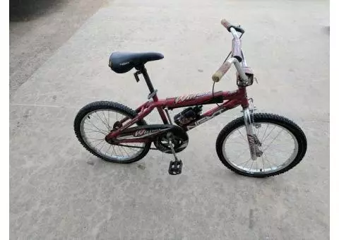 NEXT Bicycle
